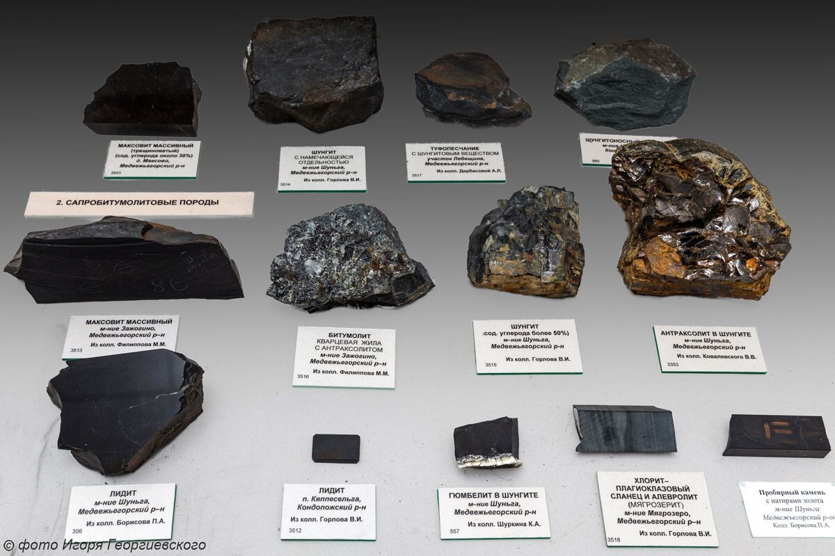    фото: © КарНЦ РАН