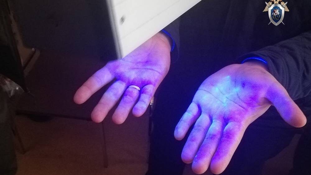    Фото: Брянское управление СК России