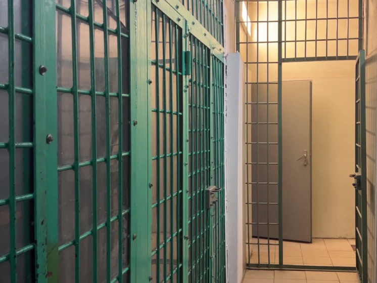     Фото: Дмитрий Золотов