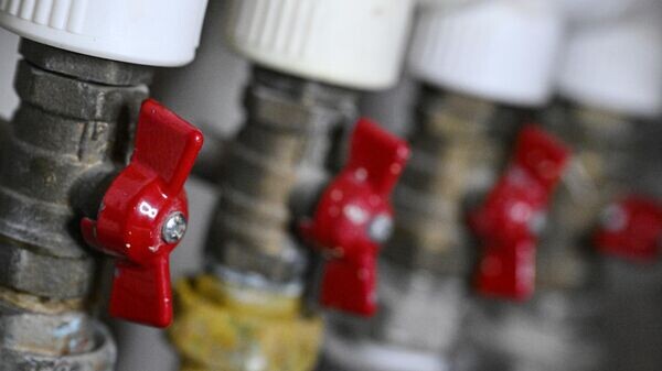    © Sputnik / Кирилл Каллиников