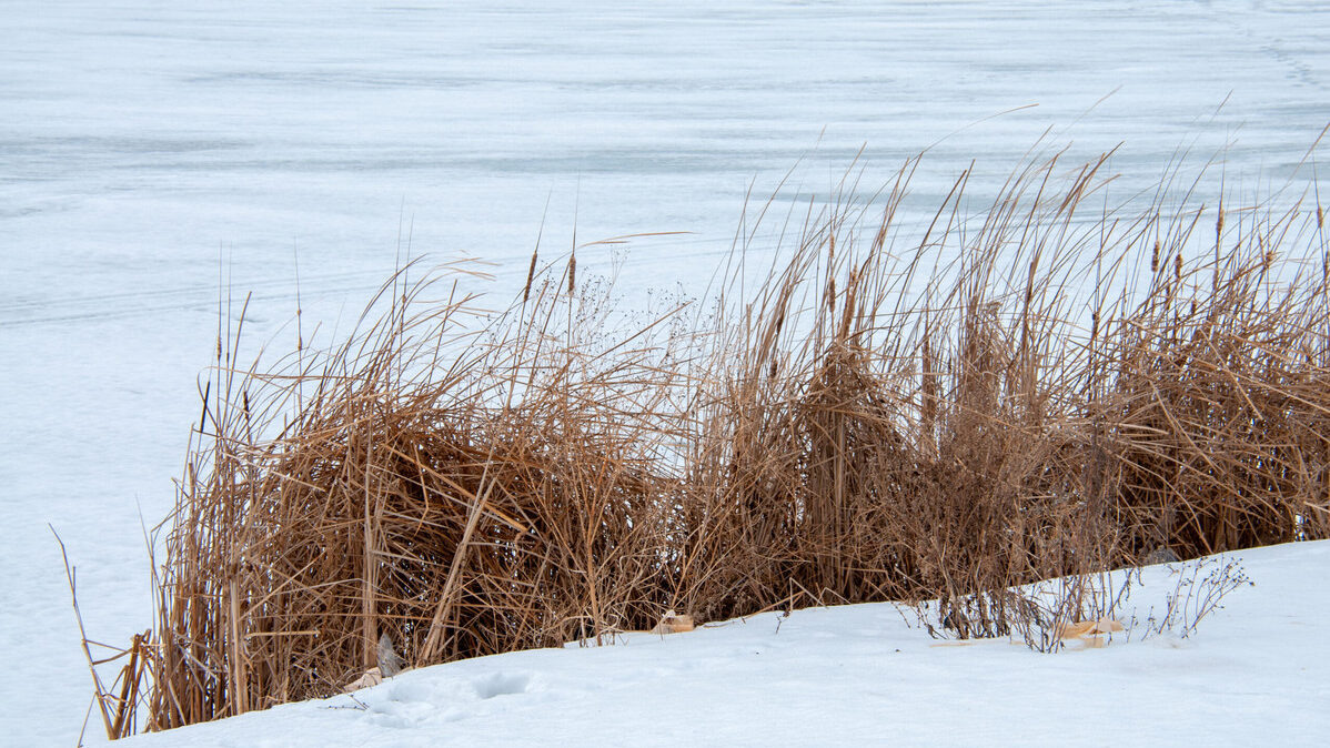    «Неправильно мальчик спасал друга»: трое детей чуть не утонули на озере, но их вытащили