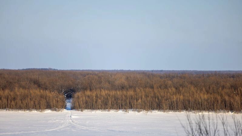    Фото: Сергей Зубков/«Ямал-Медиа»