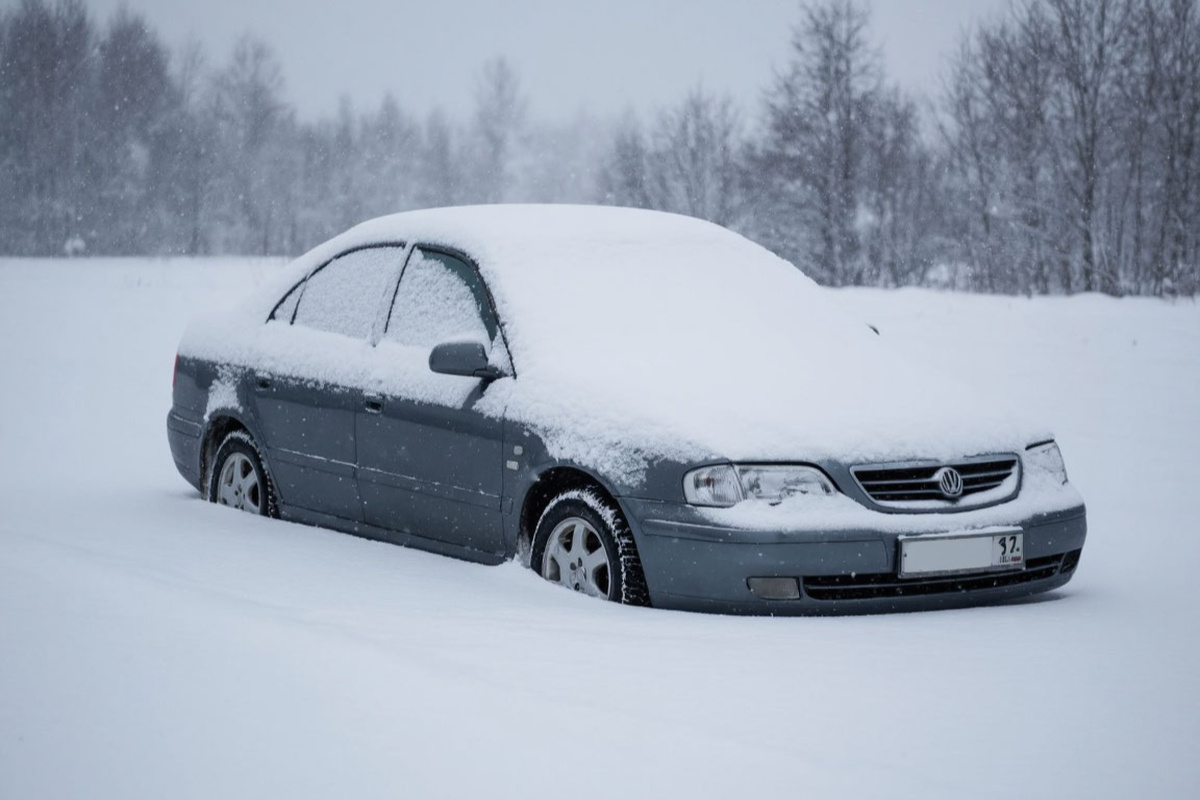    Фото: Коллаж RuNews24.ru