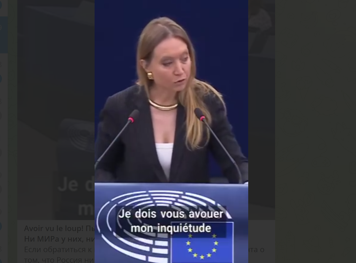 Видео выступления в МАХ и ТГ
