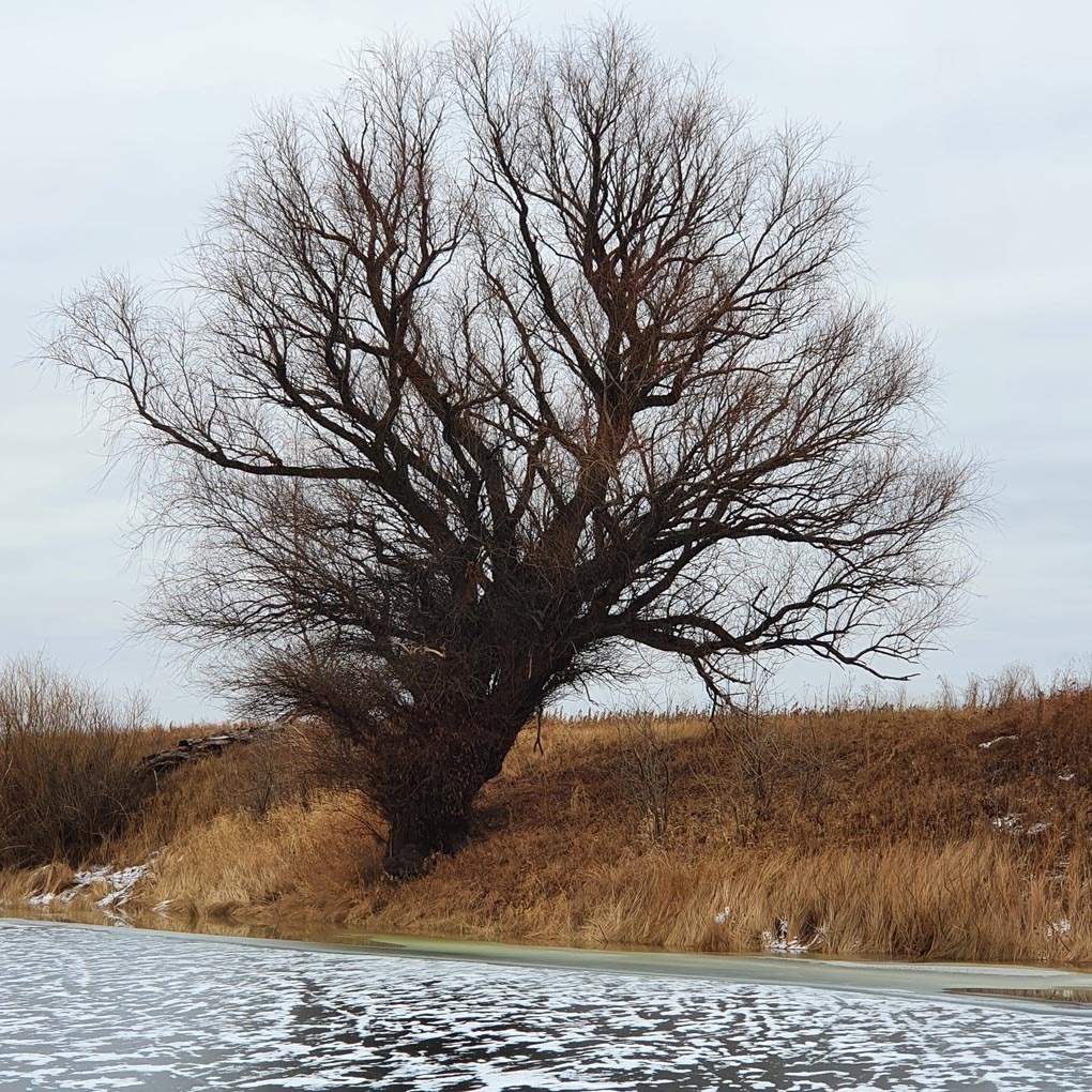 У берега вода – верный признак!