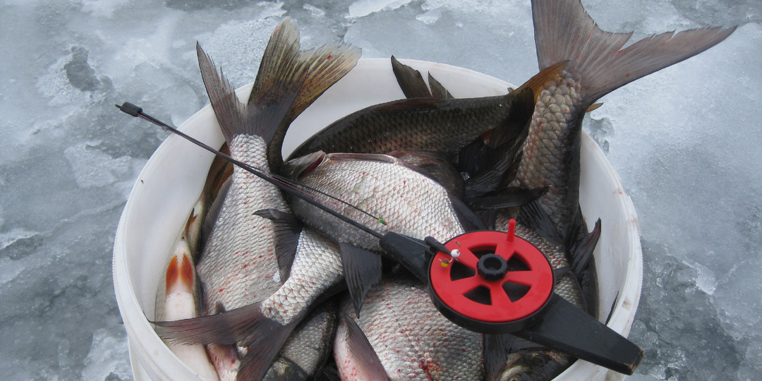 Глухозимье отменяется! Где прячется рыба зимой