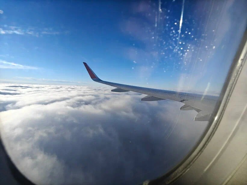    Фото: Юрий Серебренников/BFM Кубань