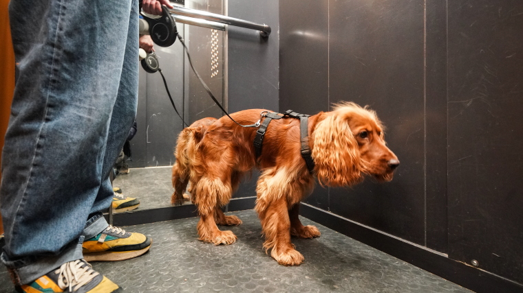    ИЗВЕСТИЯ/Сергей Лантюхов