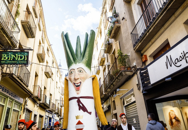 В Valls пройдёт Gran Festa de la Calçotada — главный гастрономический праздник Каталонии