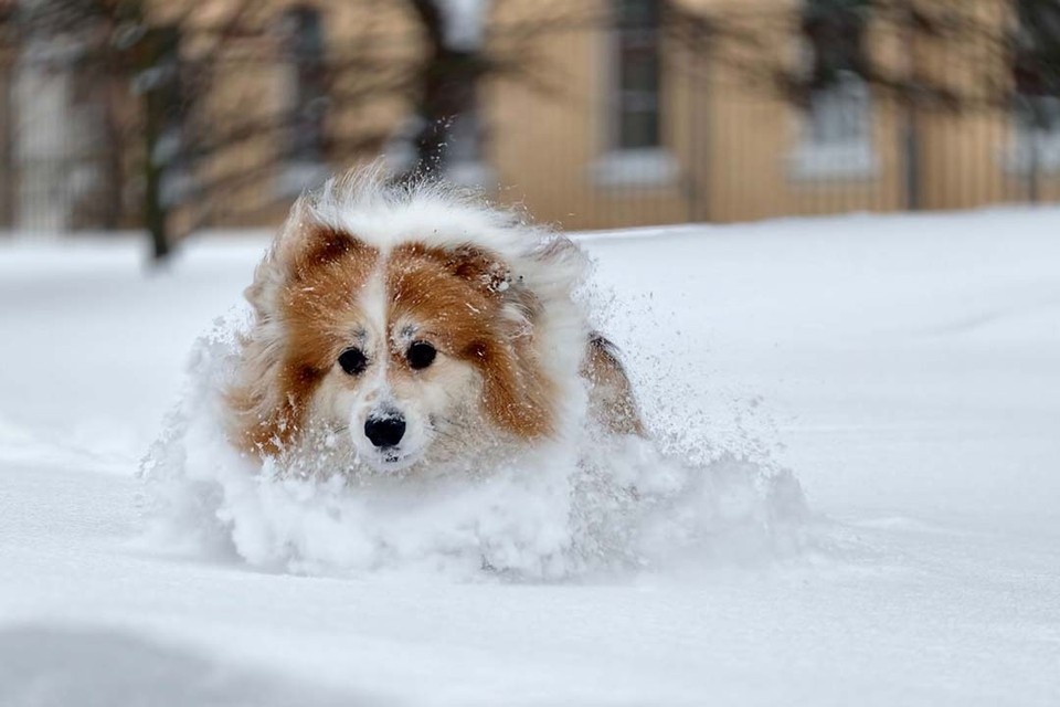    Похолодание ослабнет только к 27 января. Алексей БУЛАТОВ