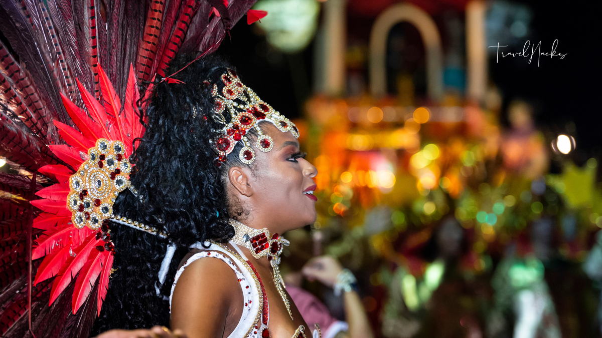 Карнавал в Рио-де-Жанейро