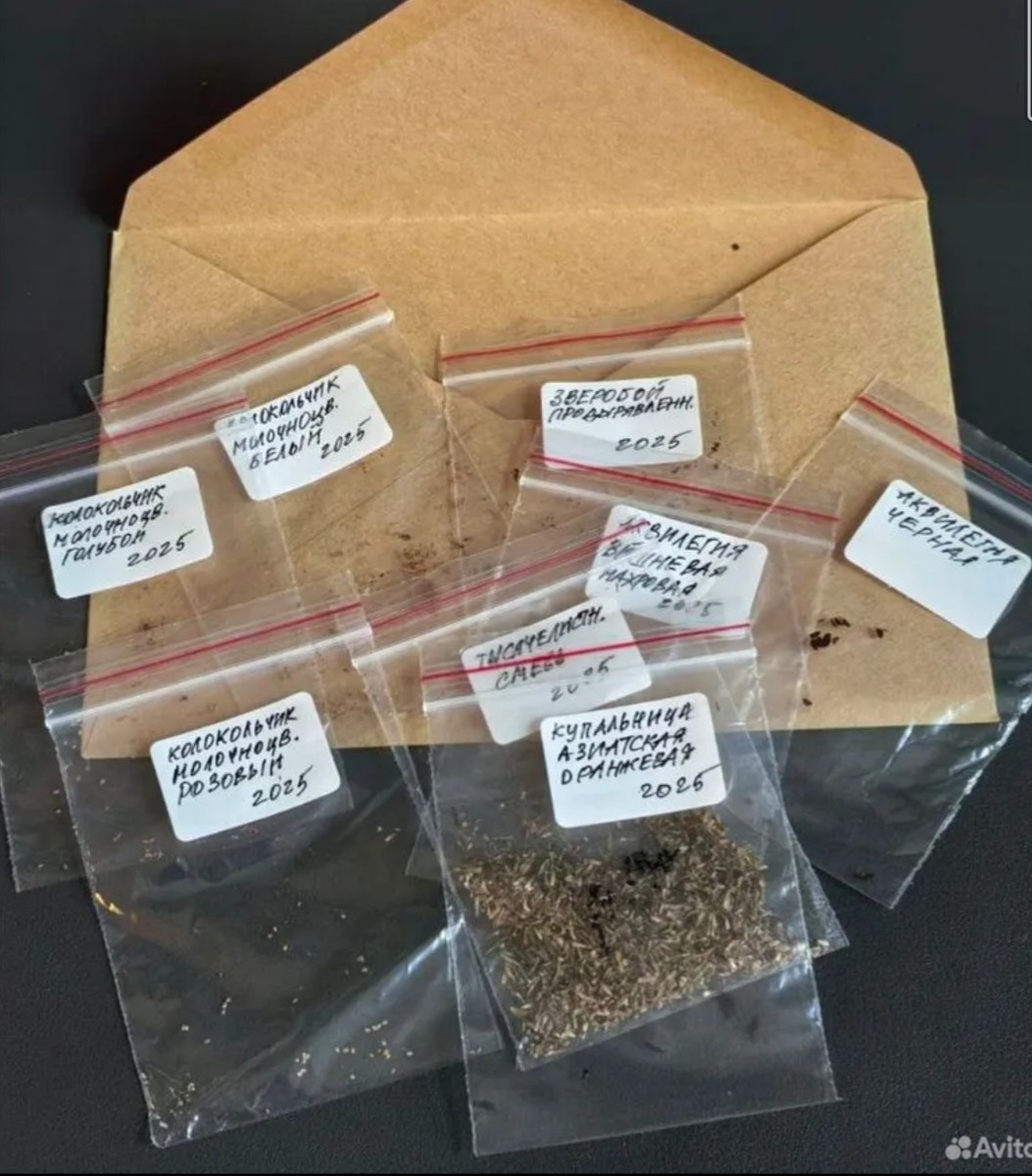 Отправка семян