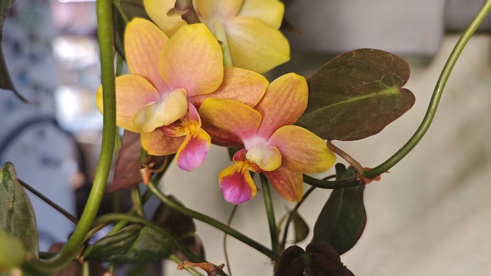 Доброе утречко