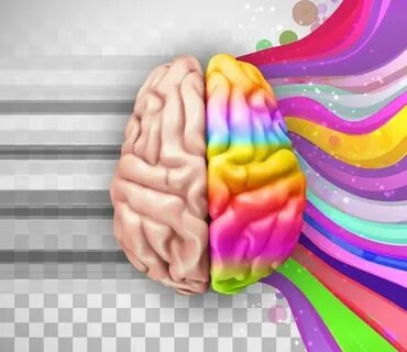 Топ -10 упражнений для развития памяти и интеллекта