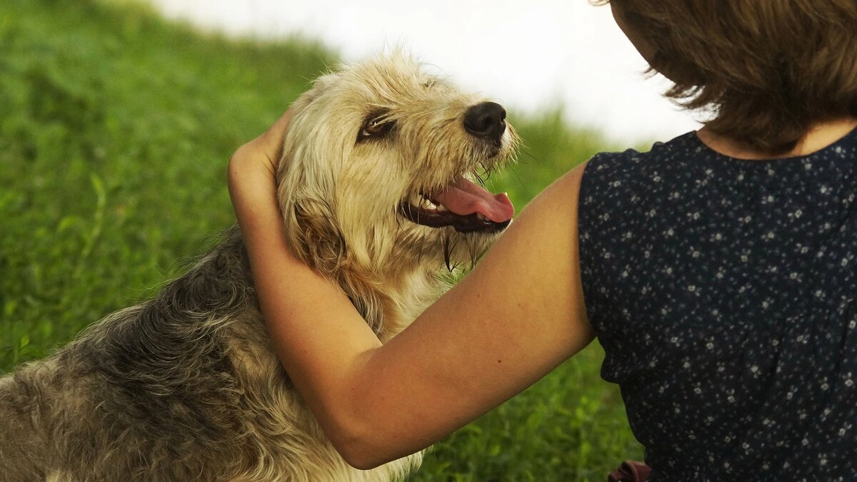    Фото: Сергей Егоров
