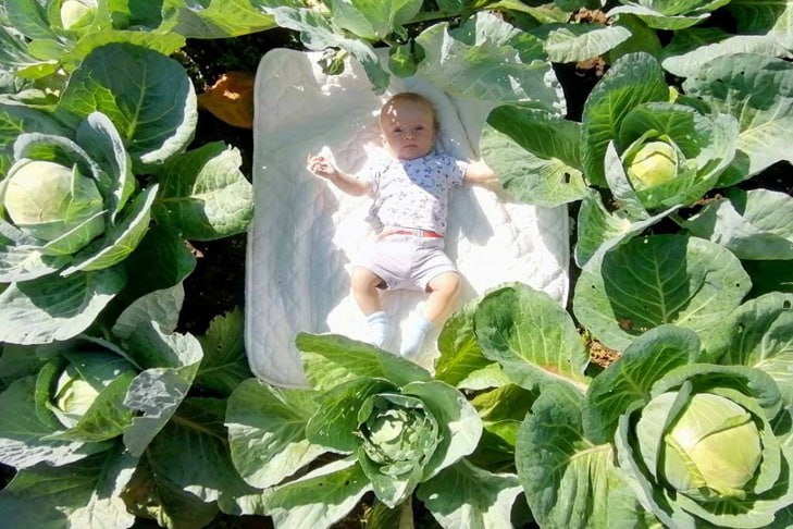 Джеймс и Ева: названы самые редкие и популярные имена 2025 года в Новосибирске