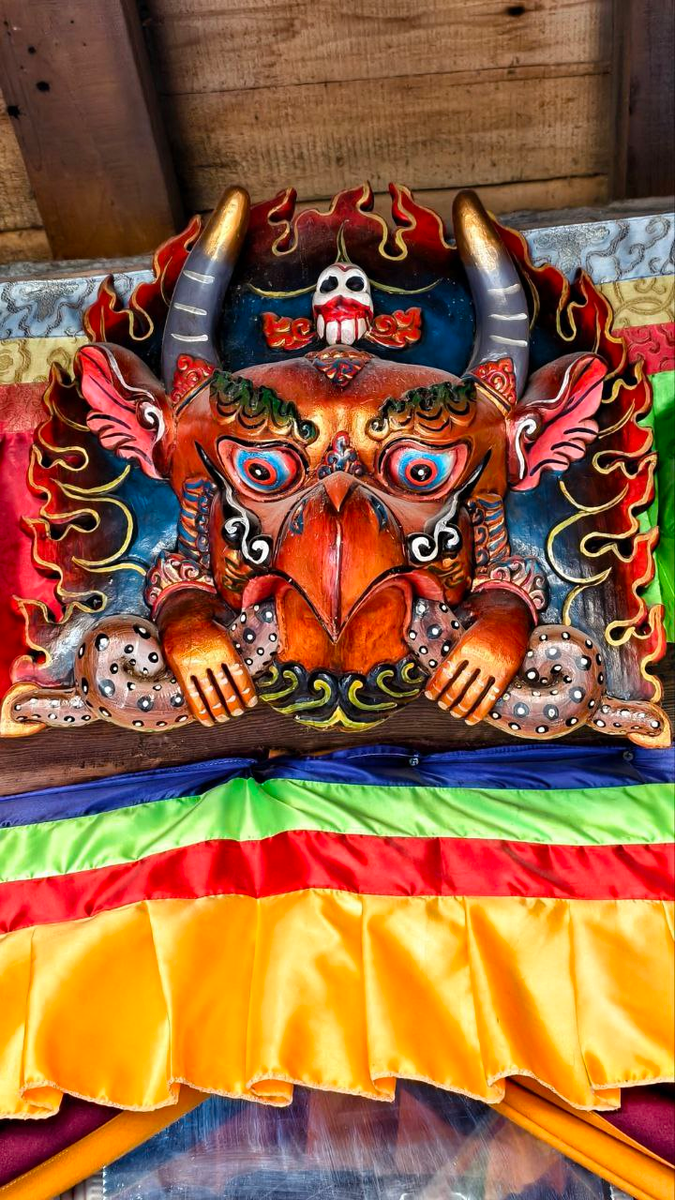 Фото: ТГ-канал @galaedet