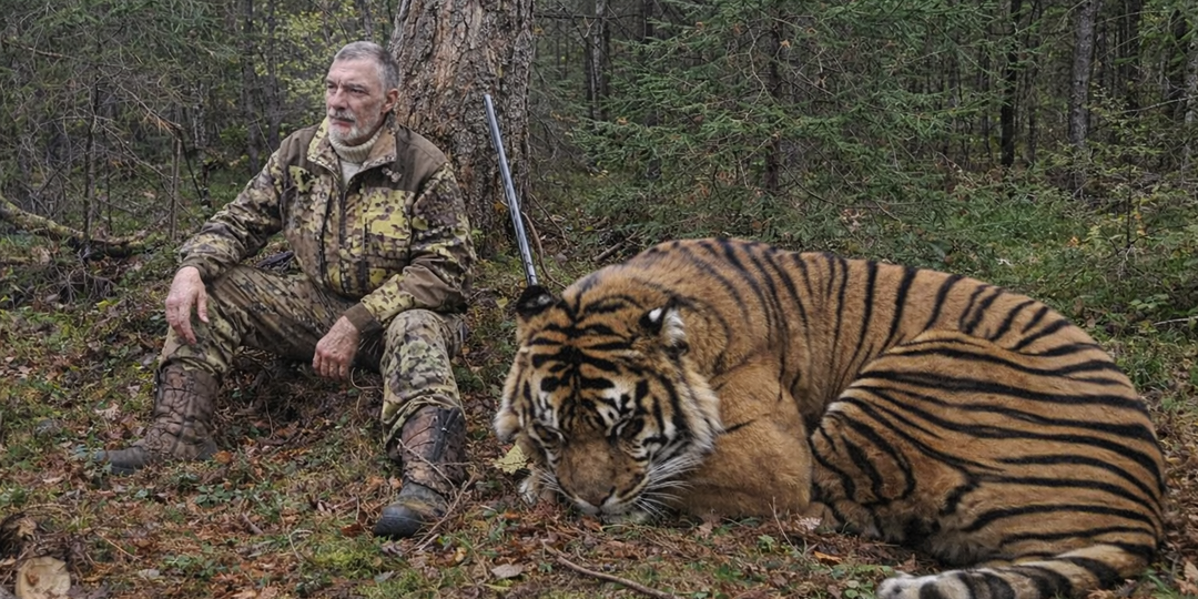 Тайга свела их: охотник и тигрица, ставшие почти семьёй