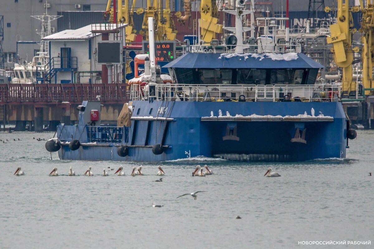    Фото t.me/novorab_official