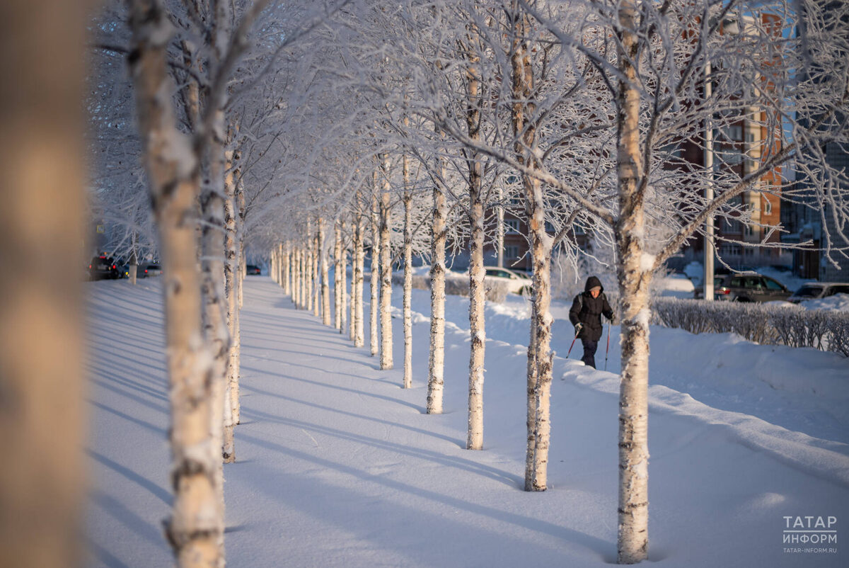 Фото: © Владимир Васильев / «Татар-информ»