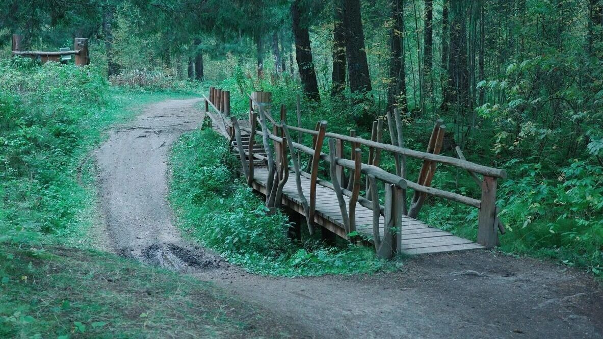   зеленое-кольцо.рф