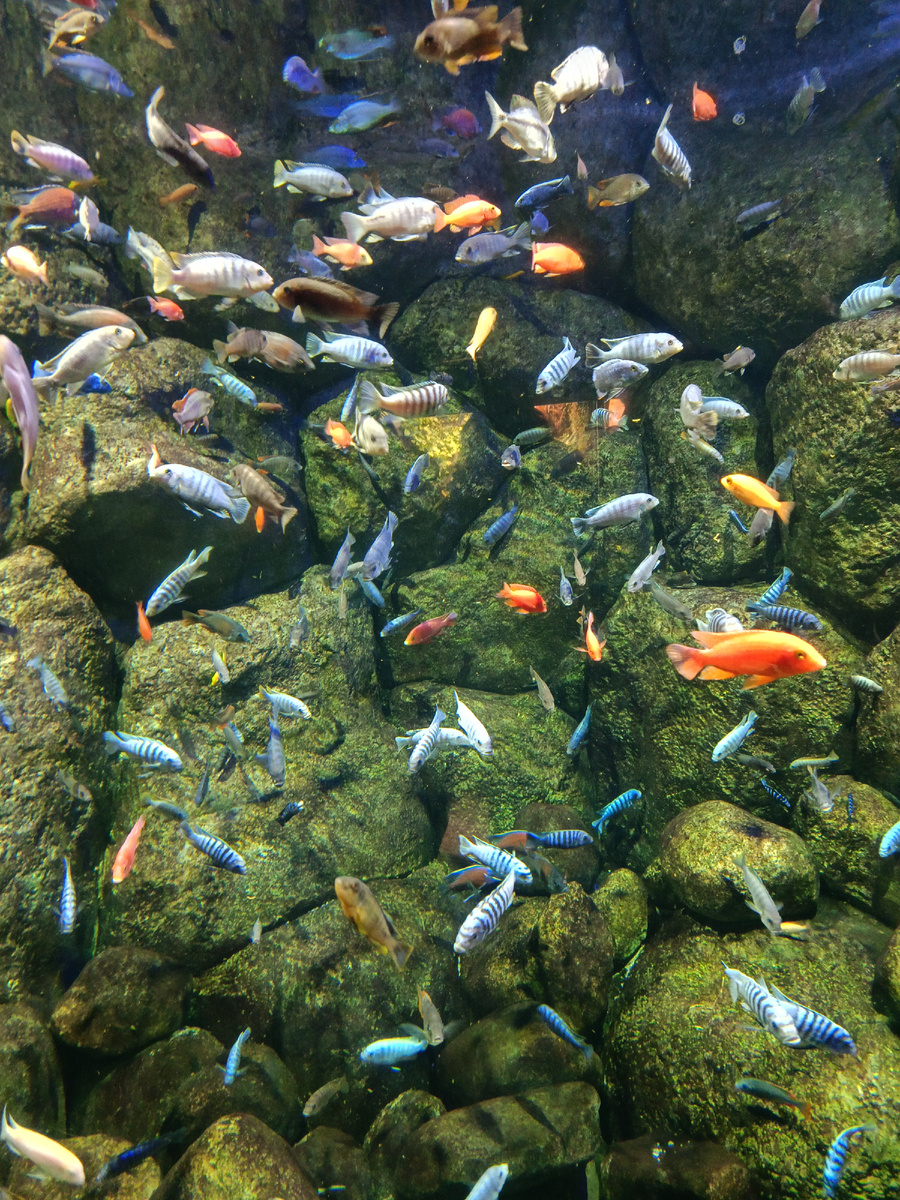 Москвариум)) воспоминание))