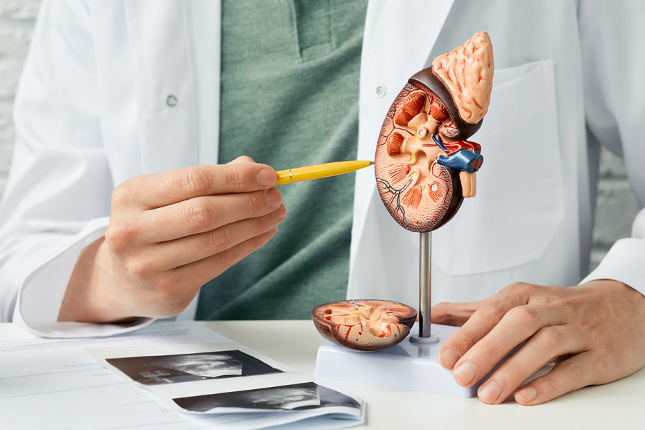    Shutterstock/FOTODOM