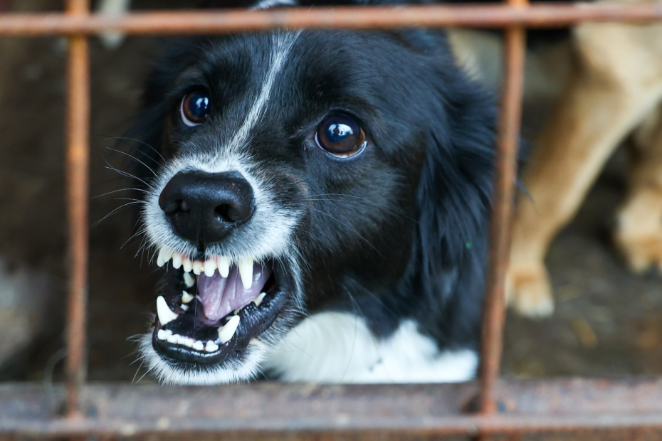    Сергей Булкин/NEWS.ru