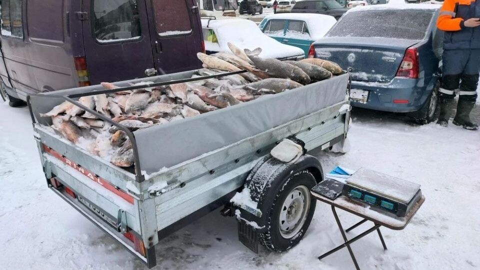    Уличная торговля. Источник: пресс-служба администрации Барнаула