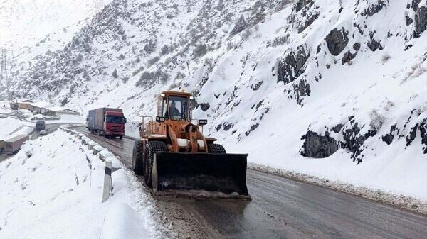    © Foto / Пресс-служба компании IRS