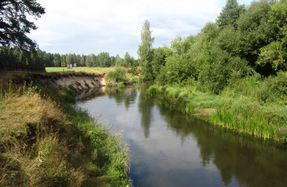 Река Тарас. Фото из открытых источников.