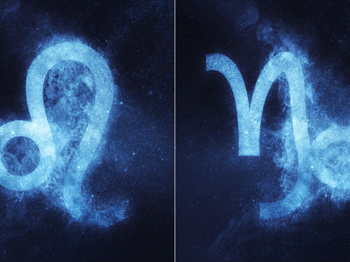    Лев и Козерог | © Getty Images / Аllexxandar