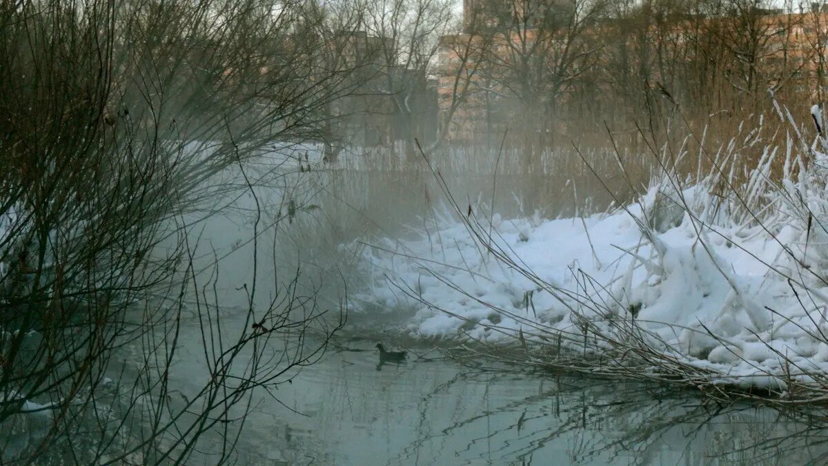    Фото: телеграм-канала «Каждой твари по паре» биолога Павла Глазкова.