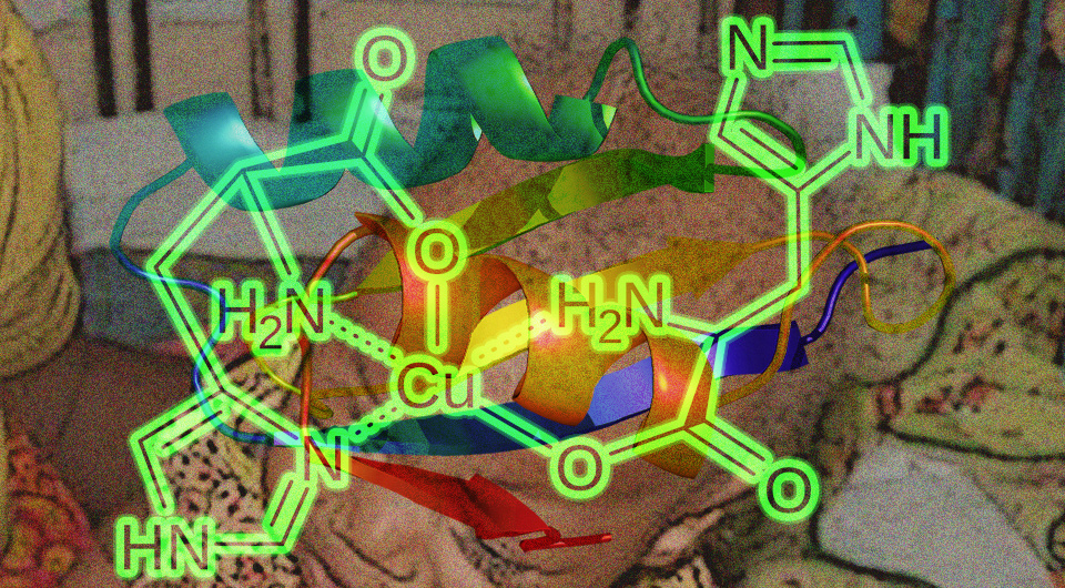   N + 1; Datta AK, Ghosh T, Nayak K, Ghosh M / Wikimedia Commons / CC-BY-2.0; Emw / Wikimedia Commons / CC BY-SA 3.0; Innerstream / Wikimedia Commons / Public Domain