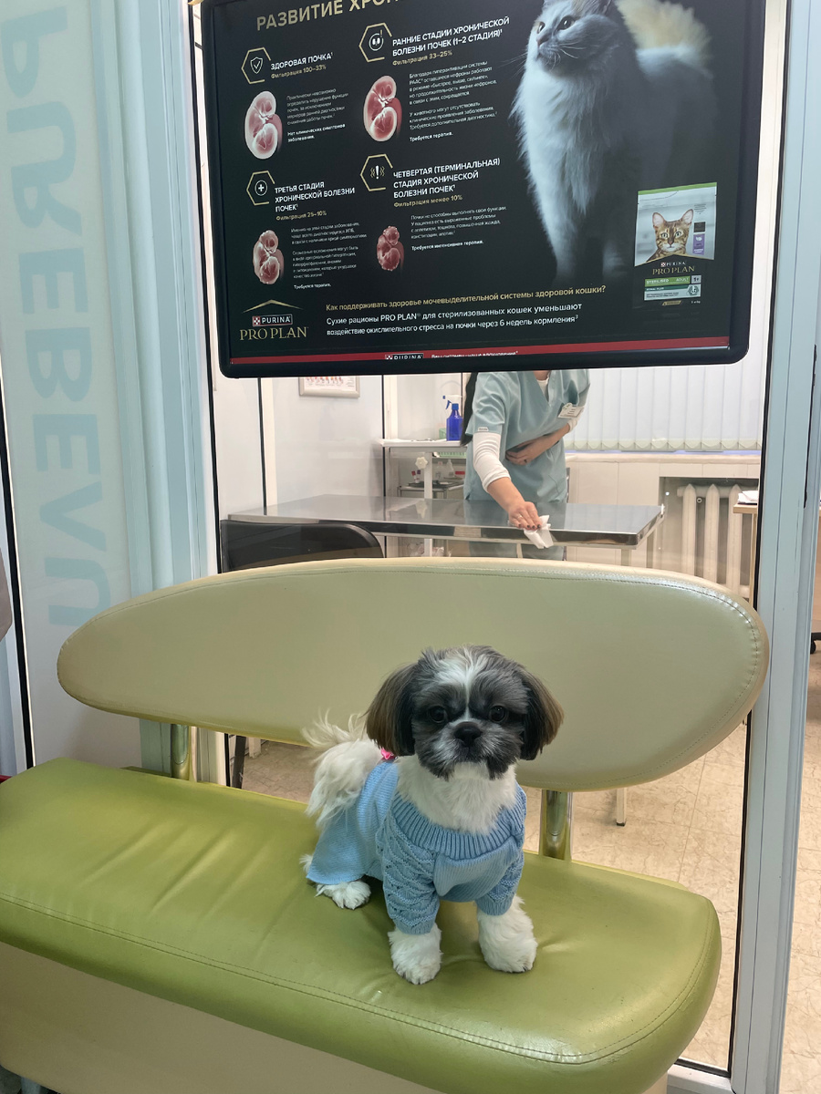 Ждём приема.