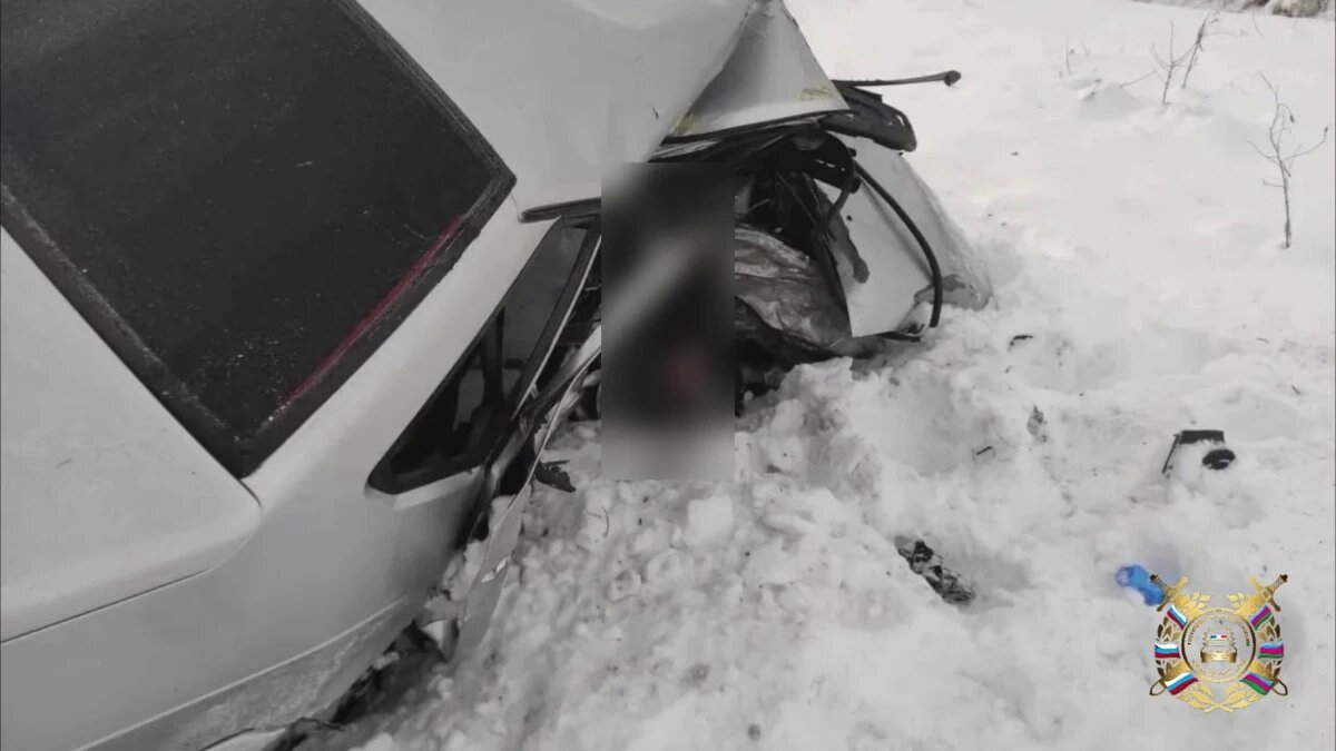    Фото t.me/gibdd123region