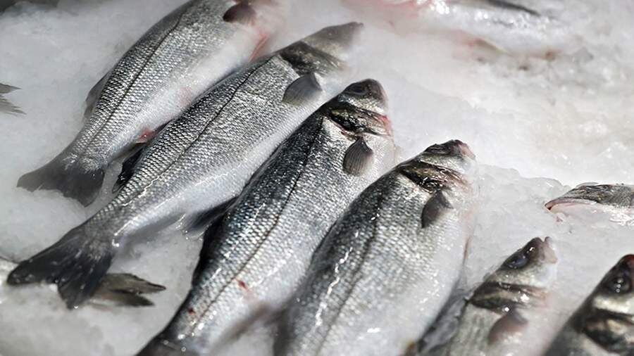    Фото: ИЗВЕСТИЯ/Андрей Эрштрем