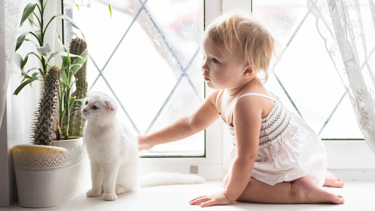    Фото: freepik.com/lebsnow