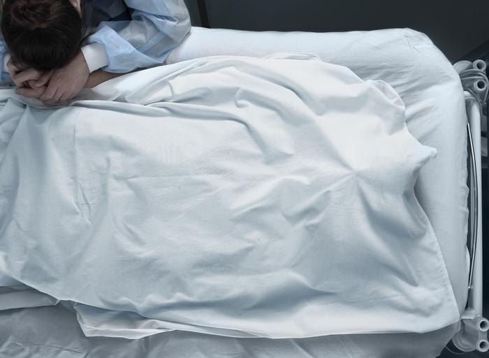 Обложка © Shutterstock / FOTODOM / sfam_photo