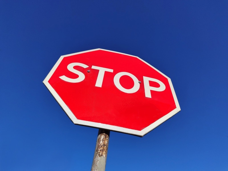    фото: © Столица на Онего