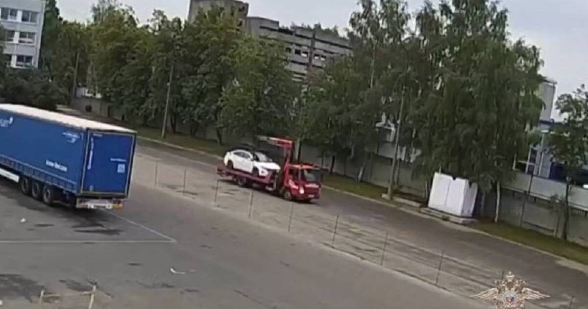    Фото: Скриншот видео / Ирина Волк / Telegram