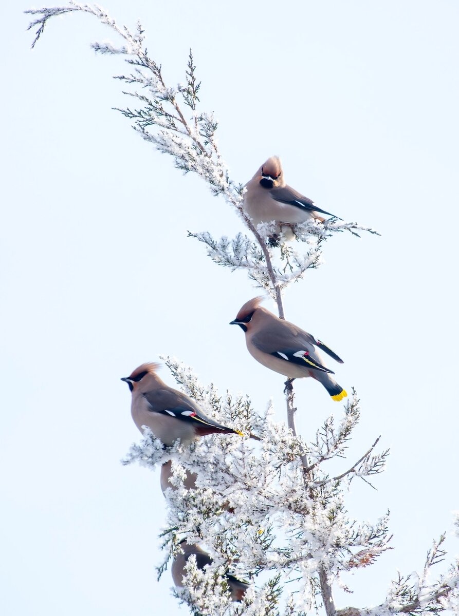    Фото: Социальные сети