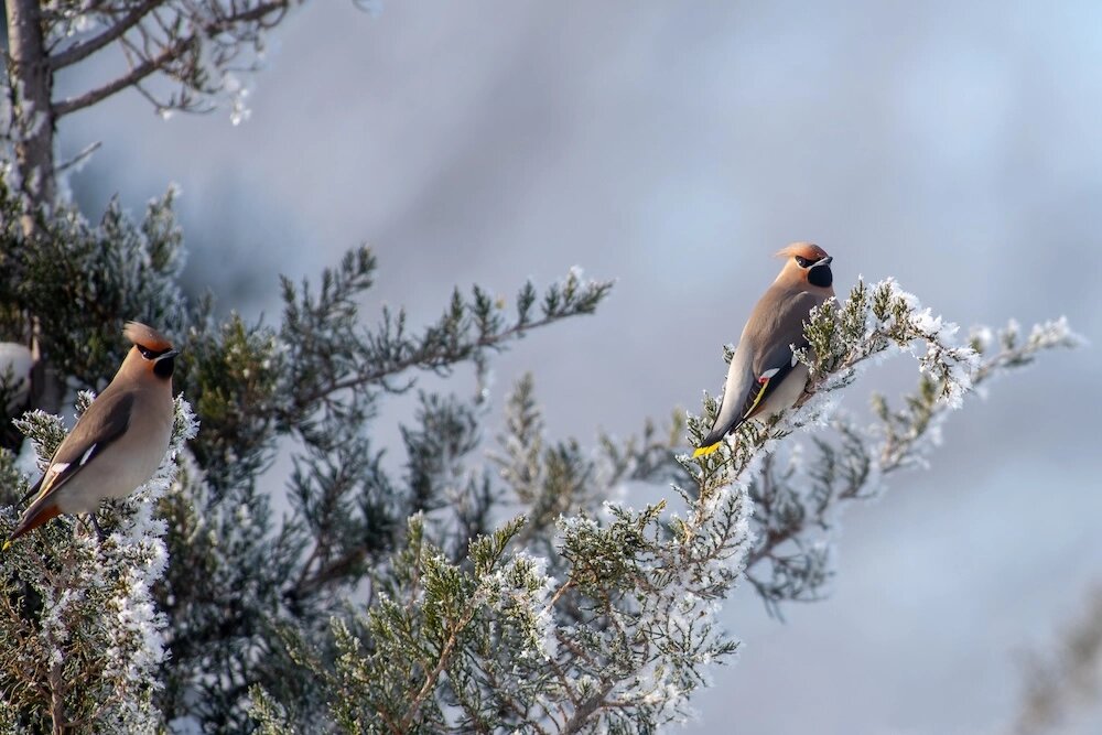    Фото: Социальные сети