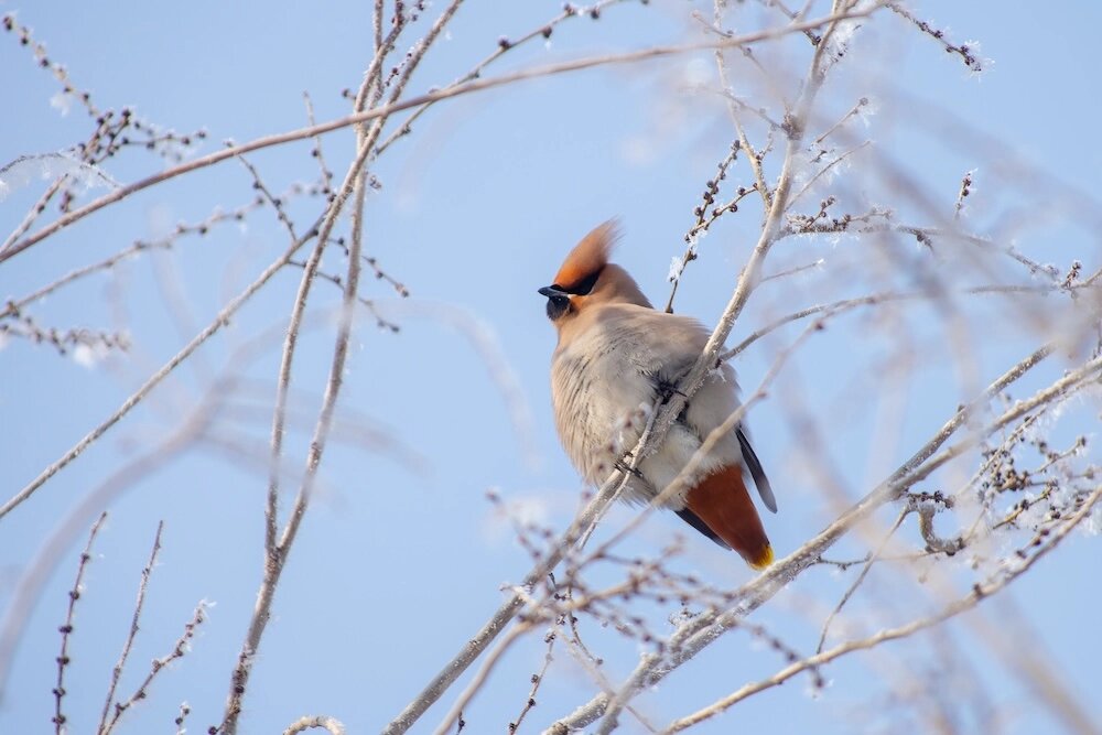    Фото: Социальные сети