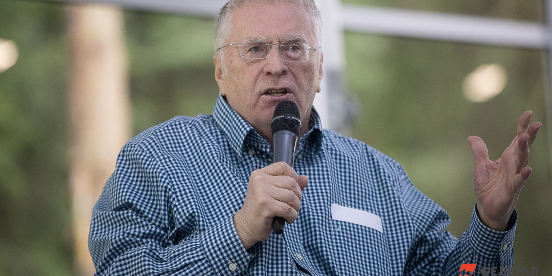 Жириновский предсказал судьбу Украины: «Дрова в печке антирусского бунта»