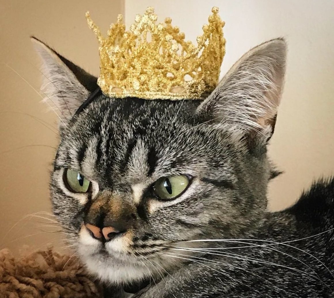 источник Яндекс