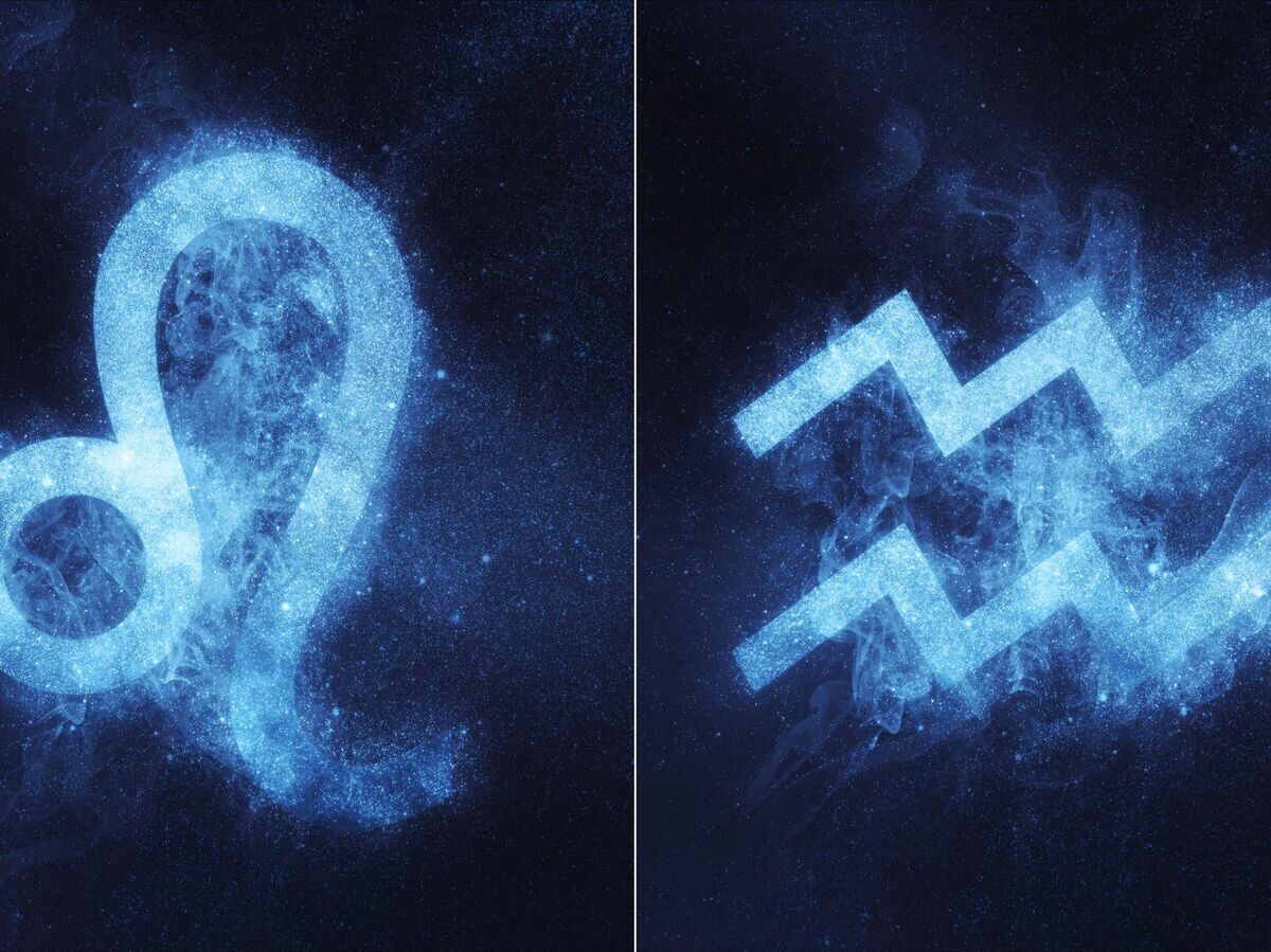    Лев и Водолей | © Getty Images / Аllexxandar