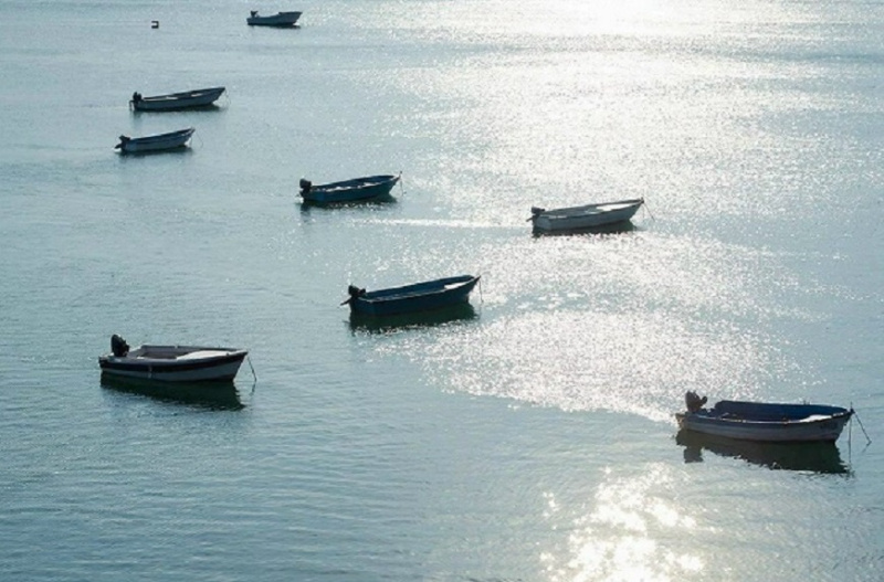 Фото регионального департамента природных ресурсов