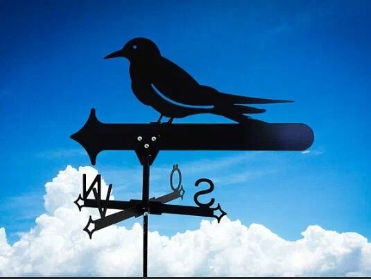 Из открытых источников.