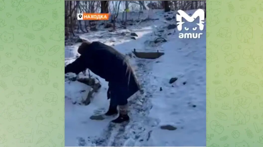    Фото: тг-канал MASH.